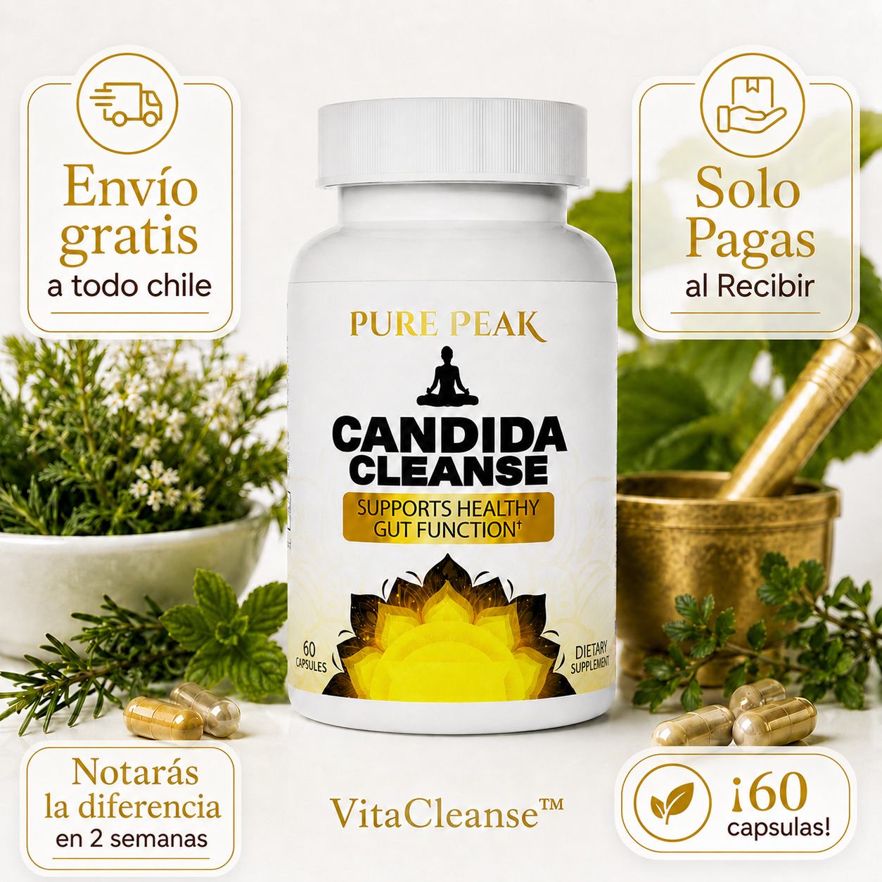 Candida Cleanse™